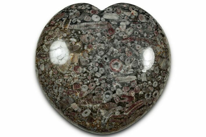 Colorful Fossil Crinoid Stems In Marble Heart #328325